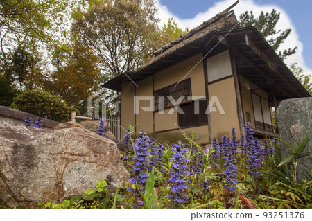 春天隱居的春天風景與盛開的 Ajuga-2 93251376