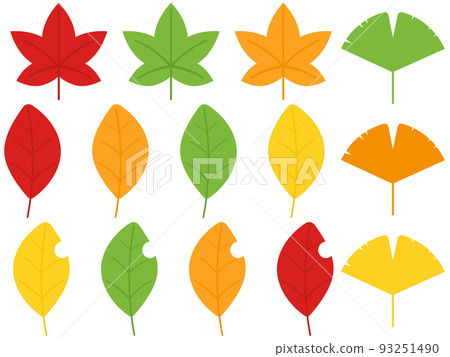 Set of 14 autumn leaf icons 93251490