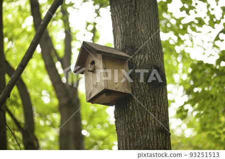 Birdhouses and bird feeder in the forest on a blurry background of greenery. Save birds. Bird feeding 93251513