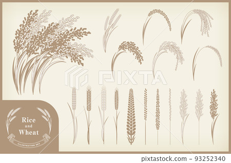 Various rice and wheat illustration set. 93252340