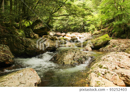 Scenery of Nametoko Gorge, Matsuno Town, Ehime Prefecture Scenery of Nametoko Gorge, Matsuno Town, Ehime Prefecture 93252403