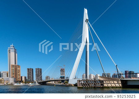 Cityscape of Rotterdam. Erasmus Bridge over River 93253025