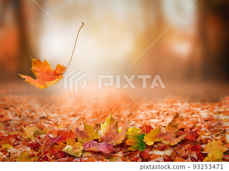 Falling autumn leaves background in the park 93253471