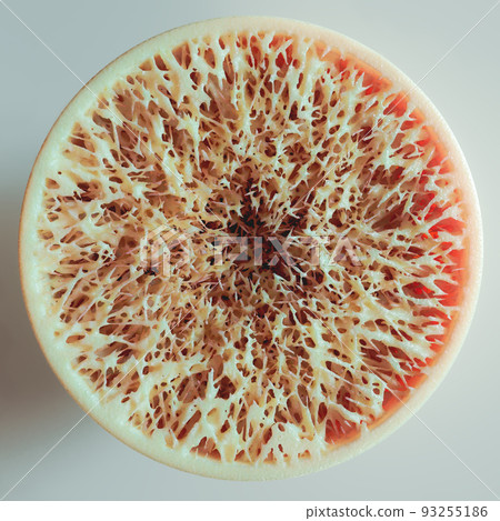 Osteoporosis - Cross Section of a bone - 3D Rendering 93255186