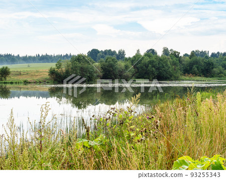 overgrown riverbank and green hills with forest overgrown riverbank and green hills with forest 93255343