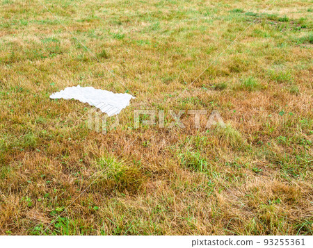 forgotten white shawl on mowed field 93255361