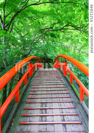Ikaho Onsen / Kagakabashi [群馬縣] 93255846