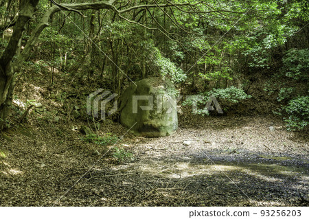 岡山縣淺口市土滿池的Konkocho Bozuiwa的鮮味 93256203