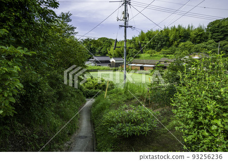 Komkocho Umami Sakoike（岡山縣淺口市） 93256236