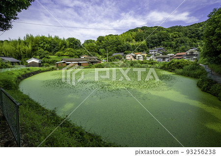 Komkocho Umami Sakoike(岡山縣淺口市) Komkocho Umami Sakoike(岡山縣淺口市) 93256238