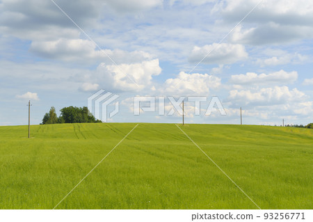 Summer countryside landscape with green farm field and meadow under sunny blue sky. Summer countryside landscape with green farm field and meadow under sunny blue sky. 93256771