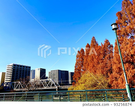 從源八橋可以看到穿過樹木的環線鐵橋的風景 從源八橋可以看到穿過樹木的環線鐵橋的風景 93256874