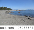 Katsurahama beach in February on a sunny day 93258375
