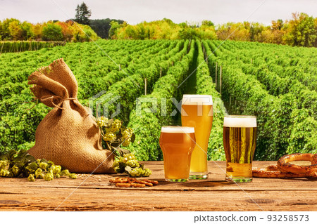 New harvest. Three glasses with frothy light and dark beer and bag with hops on wooden table green nature landscape background. 93258573