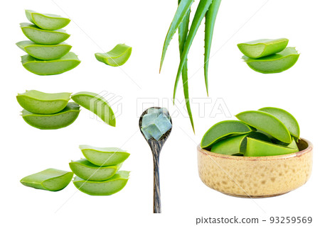 Set of Aloe Vera isolated on a white background Set of Aloe Vera isolated on a white background 93259569