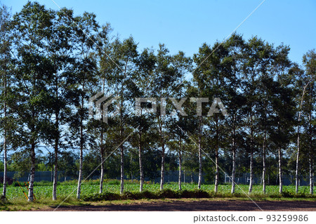 The majestic Tokachi Plain earth The majestic Tokachi Plain earth 93259986