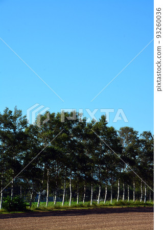 The majestic Tokachi Plain earth The majestic Tokachi Plain earth 93260036