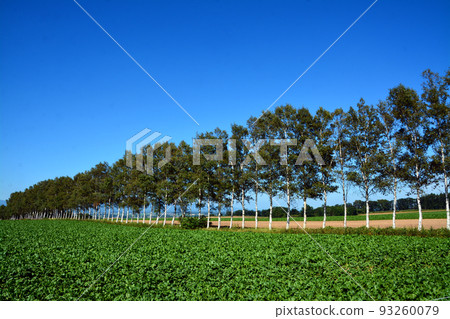 The majestic Tokachi Plain earth 93260079