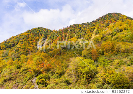 Toyama in autumn Shomyo Valley with autumn leaves Toyama in autumn Shomyo Valley with autumn leaves 93262272