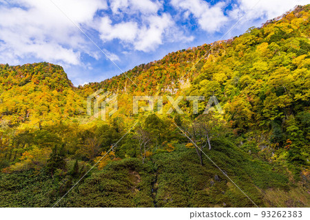 富山在秋天的 Shomyo 山谷與秋葉 93262383