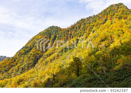 Toyama in autumn Shomyo Valley with autumn leaves 93262387