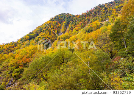 Toyama in autumn Shomyo Valley with autumn leaves Toyama in autumn Shomyo Valley with autumn leaves 93262759