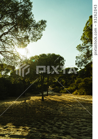 Donana National Park in Spain A UNESCO World Heritage Site 93262843