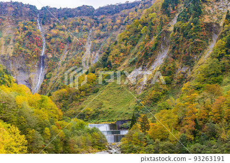 秋天的富山、紅葉的正名溪谷、幻影榿木瀑布和正名川 93263191