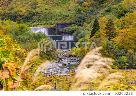 秋天的富山，秋葉的正名溪谷，正名川 93263238