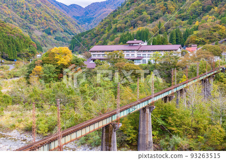 Autumn Toyama Autumn leaves around Tateyama Station Autumn Toyama Autumn leaves around Tateyama Station 93263515