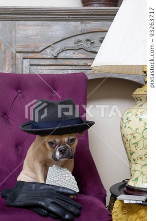 A purebred French bulldog with a cheerful sad muzzle with a vintage lampshade on its head and stylish gloves posing in front of fireplace . No people professional photo-session. A purebred French bulldog with a cheerful sad muzzle with a vintage lampshade on its head and stylish gloves posing in front of fireplace . No people professional photo-session. 93263717