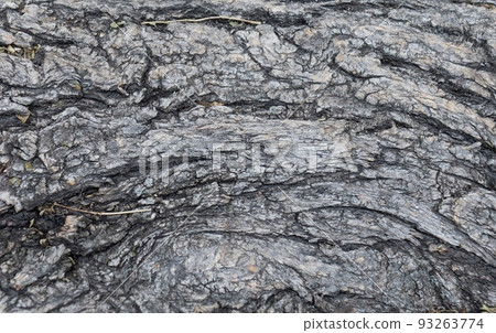 Photography of textured hardwood no people picture as a background death material with cruft black element, ugly, dirty cracked rustic surface with black worn wholes nature stile. High quality photo. 93263774