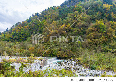 Toyama in autumn, Shomyo Valley with autumn leaves, Shomyo River 93263799