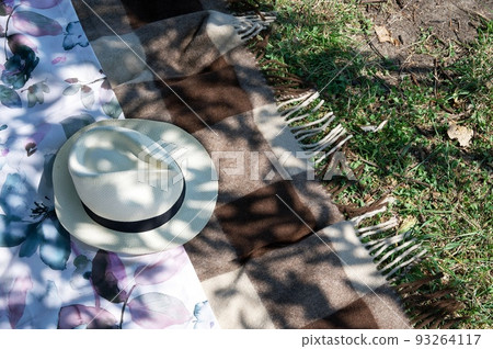 A wide-brimmed summer straw hat lies in the shade of a tree on a bedspread during a picnic on a green meadow. A wide-brimmed summer straw hat lies in the shade of a tree on a bedspread during a picnic on a green meadow. 93264117