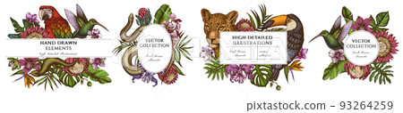 Tropical animals hand drawn frame templates. Vintage illustrations of leopard, snake, lizard, hummingbird, toucan, scarlet macaw, monstera, banana palm leaves, strelitzia, tropical palm leaves, orchid 93264259