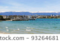 A swan, a wild bird, swimming on the shores of Lake Geneva in Geneva, Switzerland, Europe on a sunny day, and a snowy mountain that can be seen in the distance with the blue sky 93264681