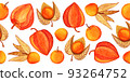 Hand drawn physalis seamless border isolated on white background 93264752