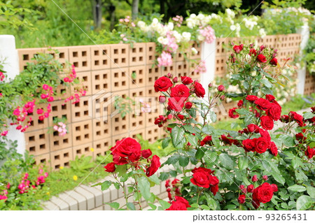 玫瑰花朵橡膠水泥漿 93265431