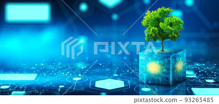 Tree growing on Circuit Digital Cube. Digital and Technology Convergence. Blue light and Wireframe network background. Green Computing, Green Technology, Green IT, csr, and IT ethics Concept. Tree growing on Circuit Digital Cube. Digital and Technology Convergence. Blue light and Wireframe network background. Green Computing, Green Technology, Green IT, csr, and IT ethics Concept. 93265485