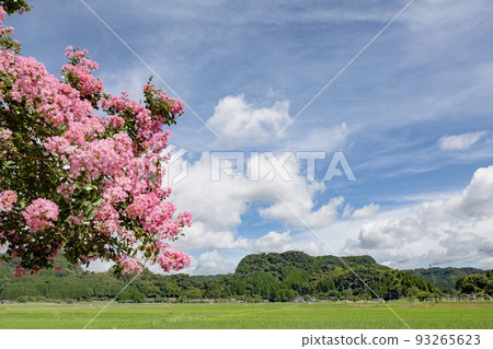農村夏天風景 農村夏天風景 93265623