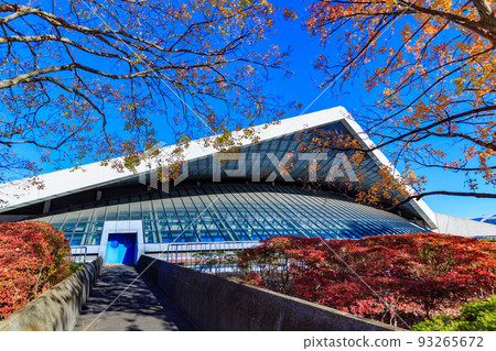 東京世田谷區駒澤體育館,駒澤奧林匹克公園的秋葉 東京世田谷區駒澤體育館,駒澤奧林匹克公園的秋葉 93265672