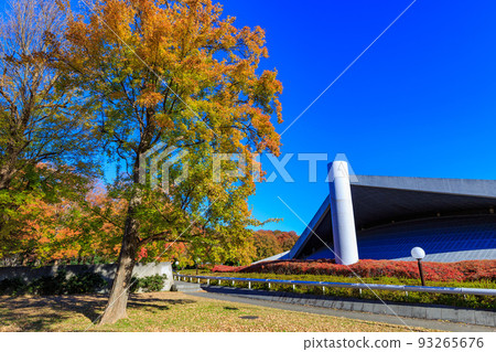 東京世田谷區駒澤體育館，駒澤奧林匹克公園的秋葉 93265676