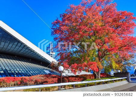 東京世田谷區駒澤體育館,駒澤奧林匹克公園的秋葉 東京世田谷區駒澤體育館,駒澤奧林匹克公園的秋葉 93265682