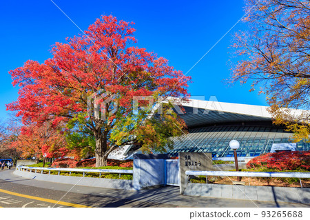 東京世田谷區駒澤體育館,駒澤奧林匹克公園的秋葉 東京世田谷區駒澤體育館,駒澤奧林匹克公園的秋葉 93265688