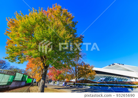 東京世田谷區駒澤體育館,駒澤奧林匹克公園的秋葉 東京世田谷區駒澤體育館,駒澤奧林匹克公園的秋葉 93265690