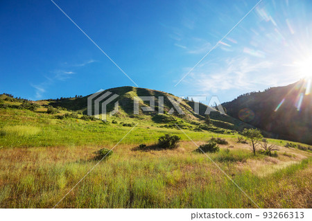 Green hills 93266313