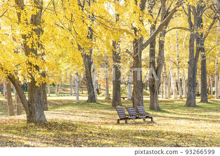 Makomanai Park in autumn Sapporo 93266599