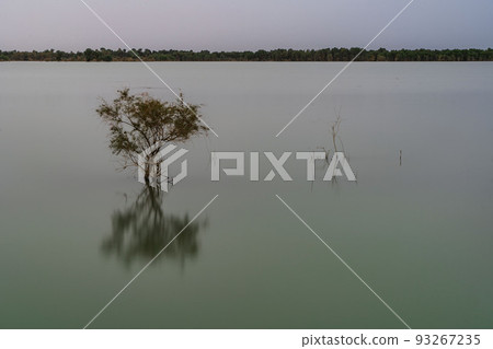 Scenery (China, Duqing Highway) 93267235