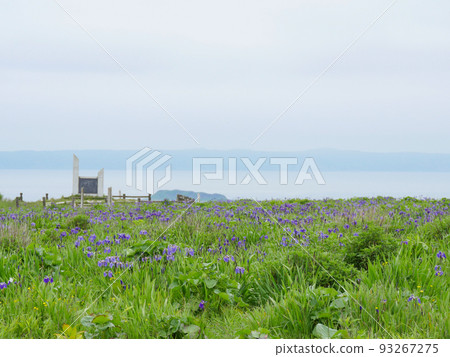 Ayamegahara 2 Daikokujima Kojima Observatory 93267275