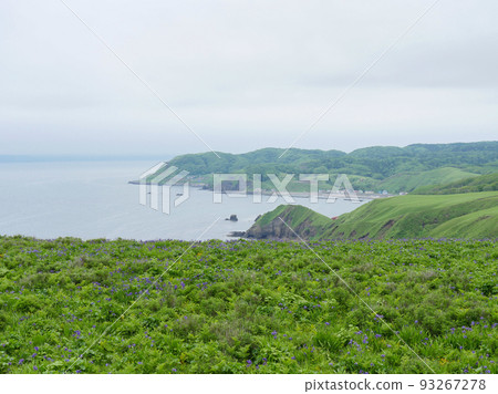 Ayamegahara 5 93267278